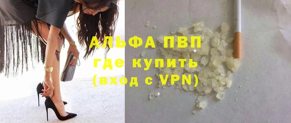 индика Ладушкин