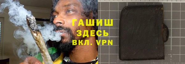 индика Ладушкин