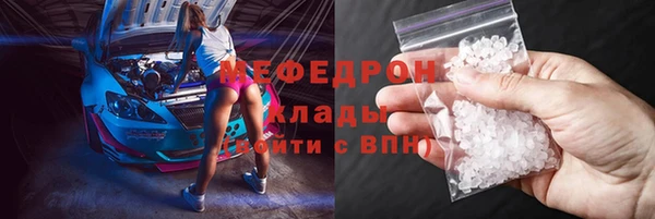 индика Ладушкин