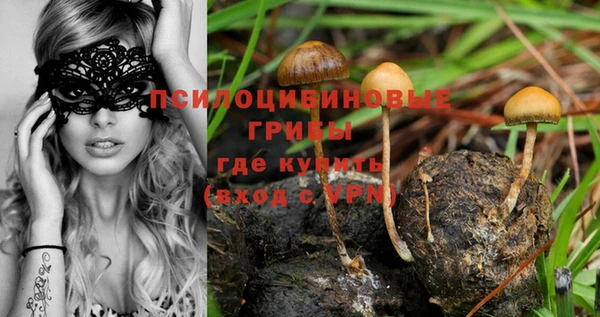 соль ск Лабытнанги