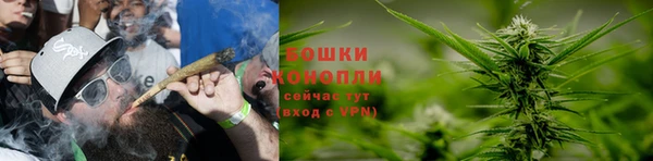 индика Ладушкин