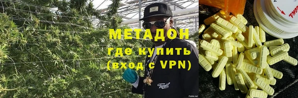 индика Ладушкин
