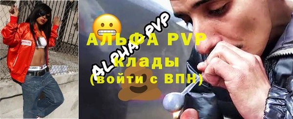 индика Ладушкин