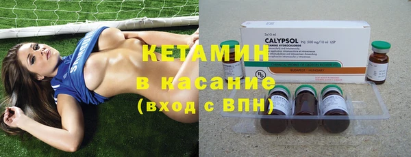 индика Ладушкин