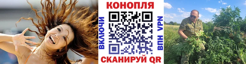 Купить закладки  Мамоново  Бошки марихуана индика 
